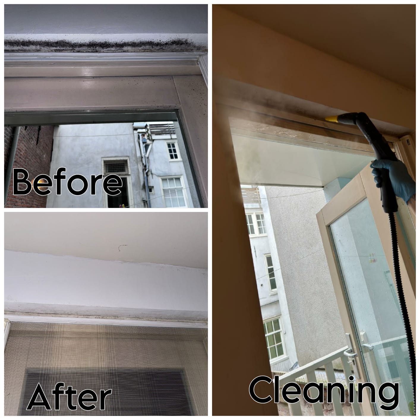 Mold Removal