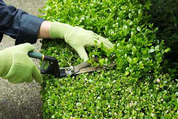 Transport Cleaning